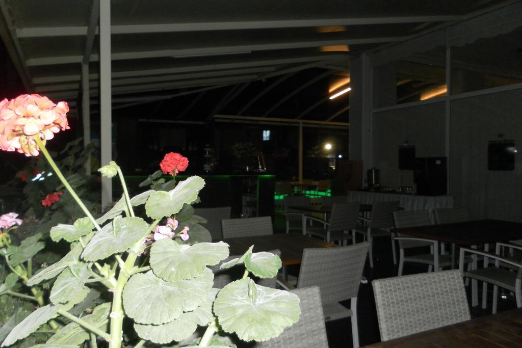 Hotel La Mosae Alanya Exteriér fotografie